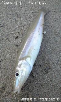 �ѡ���ԥ󥯤���ĥ��ʵ��ؿ�