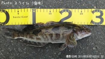 �����ʥ�