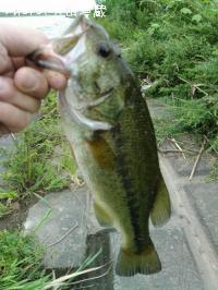 �֥�å��Х�