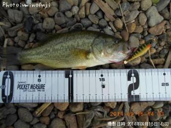 �֥�å��Х�