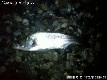 �ҥ饹����