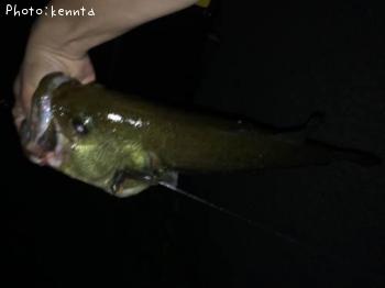 ¥Ö¥é¥Ã¥¯¥Ð¥¹