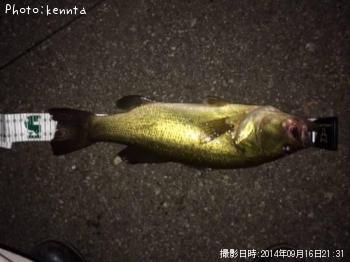 ¥Ö¥é¥Ã¥¯¥Ð¥¹