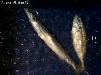 ���ޥ�