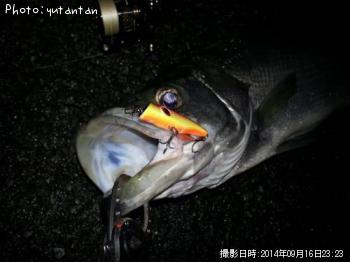 �ҥ饹����