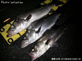 �ҥ饹����