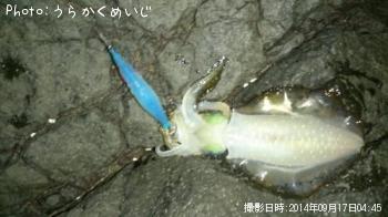 ¥¢¥ª¥ê¥¤¥«