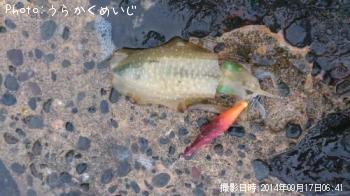 �����ꥤ��