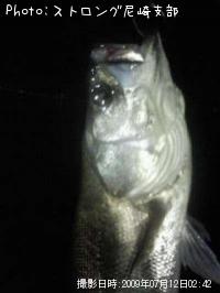 �����Х�