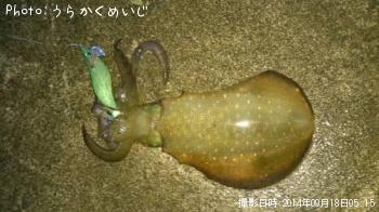 �����ꥤ��