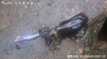 �����ꥤ��