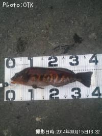 �����ʥ�