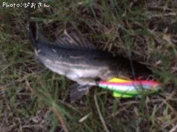 �����Х�