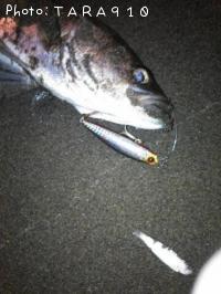 �����Х�