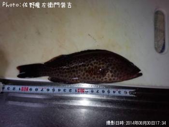 �������ϥ�