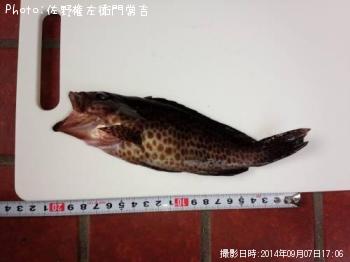 ¥ª¥ª¥â¥ó¥Ï¥¿