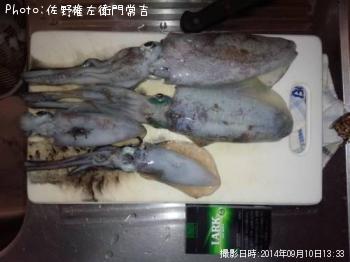 �����ꥤ��