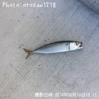 ¥µ¥Ð
