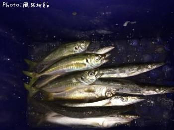 ¥¢¥¸¡õ¥«¥Þ¥¹¡õ¥à¥Ä