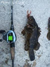 ¥¿¥±¥Î¥³¥á¥Ð¥ë