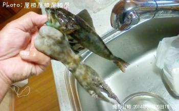 �ޥ�������ϥ�