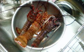 ������Ϸ