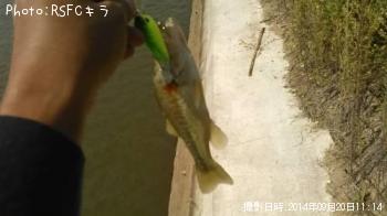 �֥�å��Х�