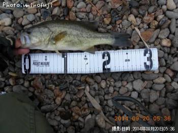 ¥Ö¥é¥Ã¥¯¥Ð¥¹