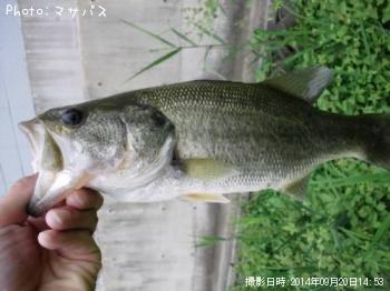 �֥�å��Х�