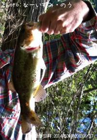 �֥�å��Х�