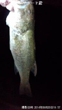 ¥Ö¥é¥Ã¥¯¥Ð¥¹