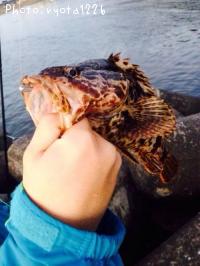 �����Υ���Х�