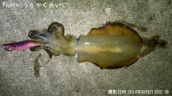 �����ꥤ��