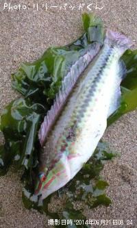 ��ǯ���Τ���