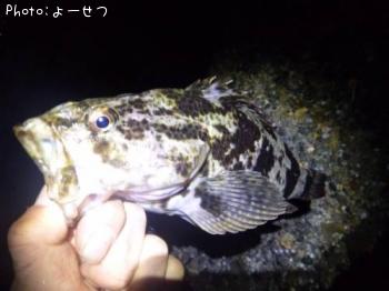 �����Υ���Х�