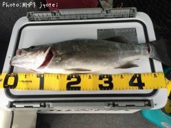 �ҥ饹����