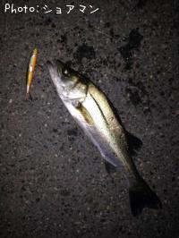 �����Х�