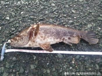 �����Υ���Х�