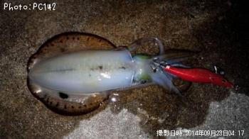 �����ꥤ��