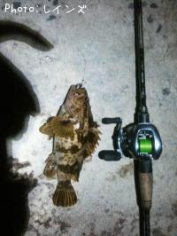 �����Υ���Х�