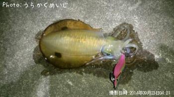 �����ꥤ��