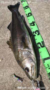 �����Х�