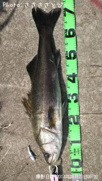 �����Х�