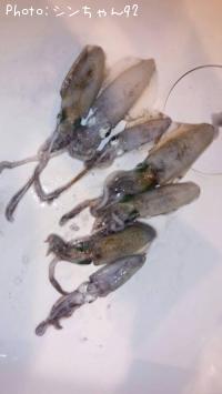 ¥¢¥ª¥ê¥¤¥«