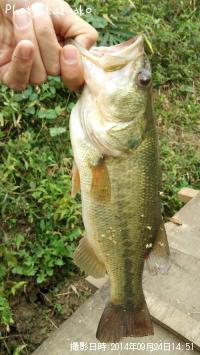 ¥Ö¥é¥Ã¥¯¥Ð¥¹