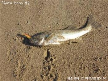 �����Х�