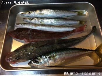 ¥Û¥¦¥Ü¥¦¡õ¥ï¥Ë¥´¥Á¡õ¥«¥Þ¥¹