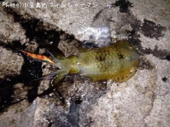 �����ꥤ��