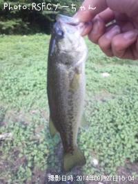 �֥�å��Х�