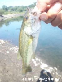 ¥Ö¥é¥Ã¥¯¥Ð¥¹